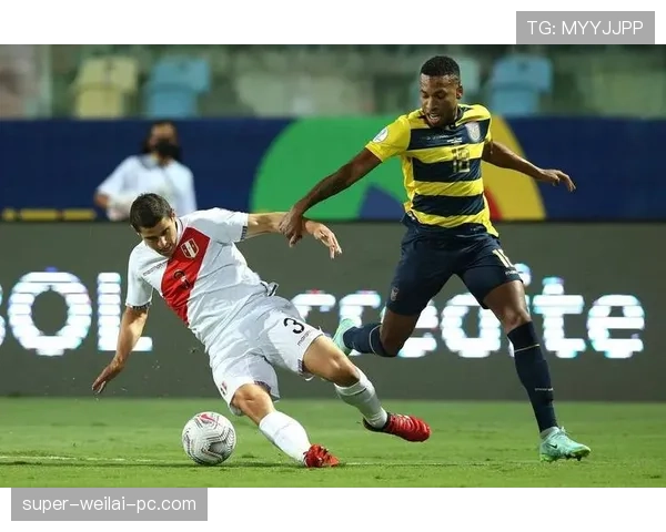 厄瓜多尔E组出线条件详解 厄瓜多尔E组出线条件详解